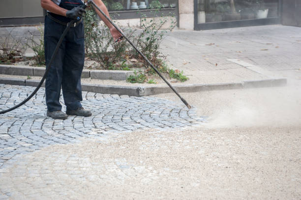 Best Gutter Cleaning  in Llano Grande, TX
