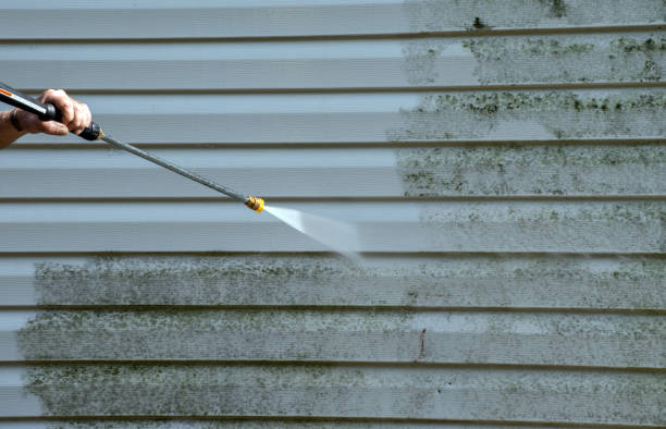 Best Residential Exterior Washing  in Llano Grande, TX