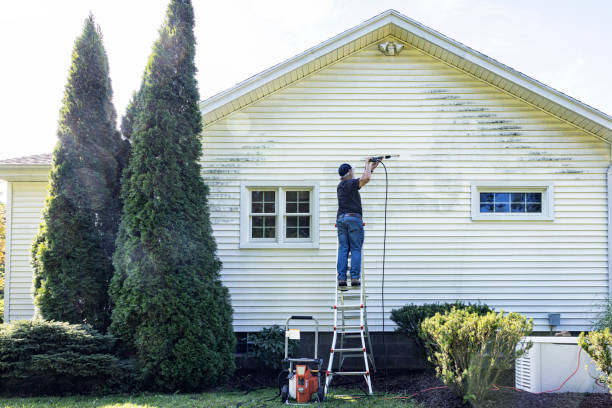 Best Solar Panel Cleaning  in Llano Grande, TX